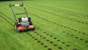 Aeracja trawnika za pomocą spalinowego aeratora z kolkami – etapy napowietrzania gruntu w ogrodzie