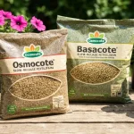 opakowania Osmocote i Basacote na stole obok doniczek z kwiatami