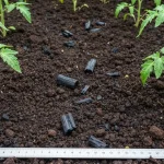 Terra preta w ogrodzie domowym - bogata, ciemna gleba z węglem drzewnym