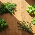 Świeże zioła polskie i włoskie: koperkowe ziele, bazylia, oregano, pietruszka i tymianek ułożone na drewnianym blacie kuchennym